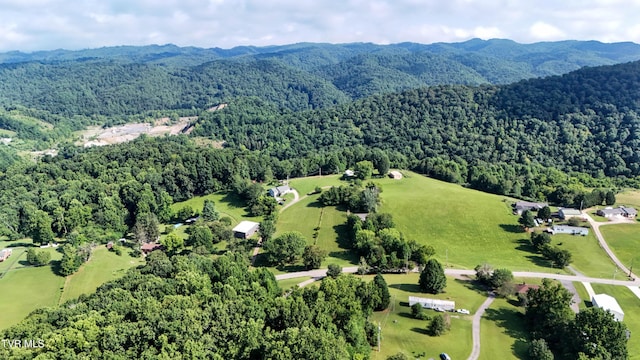 422 Droke Ln, Blountville, TN 37617 - photo 71