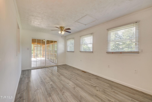 263 Slaughter St, Kingsport, TN 37664 - photo 16