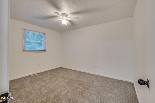 263 Slaughter St, Kingsport, TN 37664 - photo 22