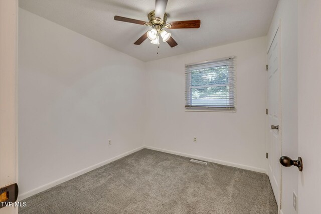 263 Slaughter St, Kingsport, TN 37664 - photo 25