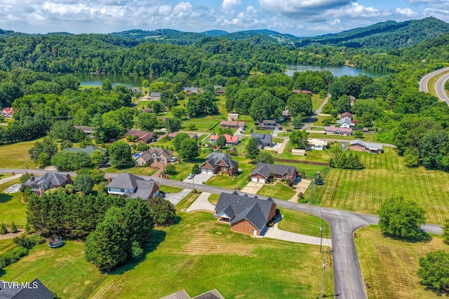 227 Brooks Landing Cir, Rogersville, TN 37857 - photo 29