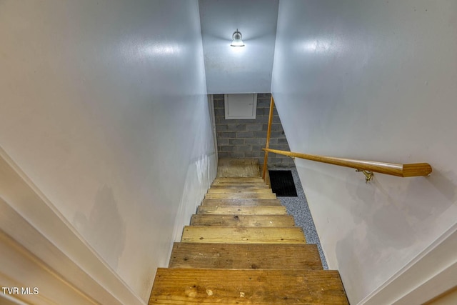 227 Brooks Landing Cir, Rogersville, TN 37857 - photo 81