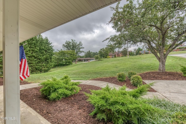 2233 Pendragon Rd, Kingsport, TN 37660 - photo 5