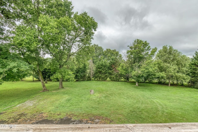 2233 Pendragon Rd, Kingsport, TN 37660 - photo 22