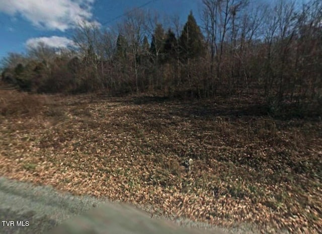 1999 Stewart Rd, Chuckey, TN 37641 - photo 2