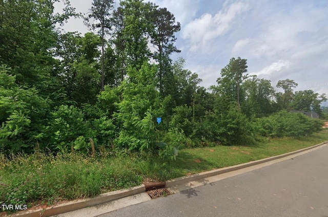 3071 Bridgewater Blvd, Morristown, TN 37814 - photo 2