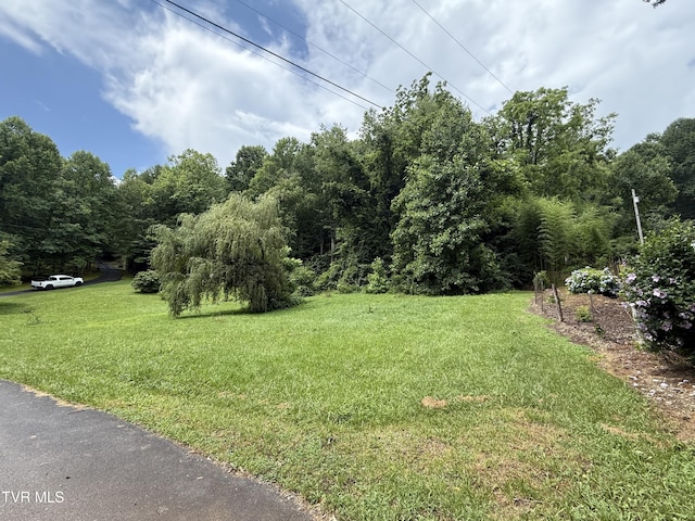 201 Mill Creek Rd, Elizabethton, TN 37643 - photo 1