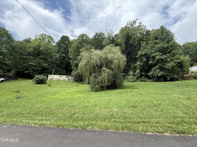 201 Mill Creek Rd, Elizabethton, TN 37643 - photo 2