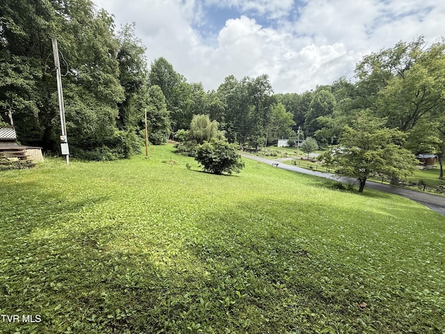 201 Mill Creek Rd, Elizabethton, TN 37643 - photo 3