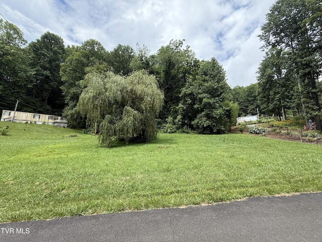 201 Mill Creek Rd, Elizabethton, TN 37643 - photo 5