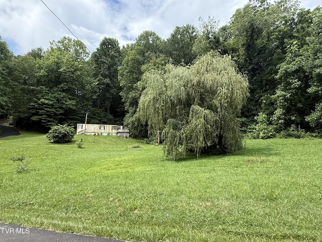 201 Mill Creek Rd, Elizabethton, TN 37643 - photo 6