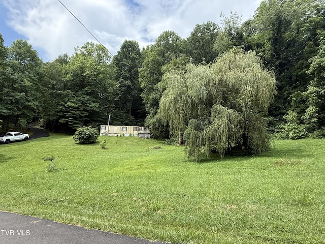 201 Mill Creek Rd, Elizabethton, TN 37643 - photo 7