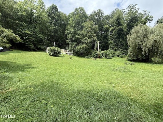 201 Mill Creek Rd, Elizabethton, TN 37643 - photo 8