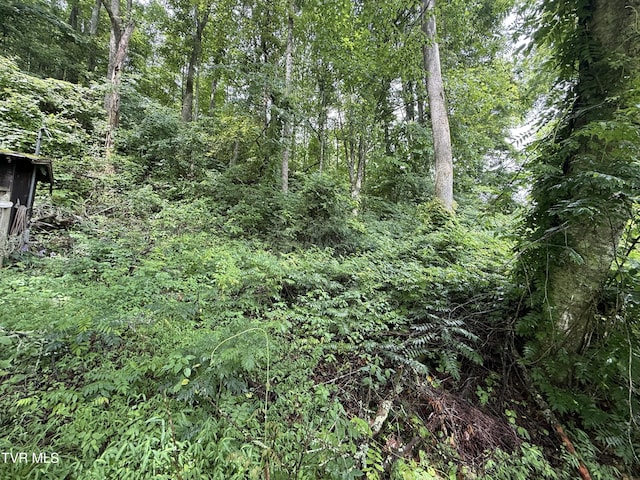 201 Mill Creek Rd, Elizabethton, TN 37643 - photo 9