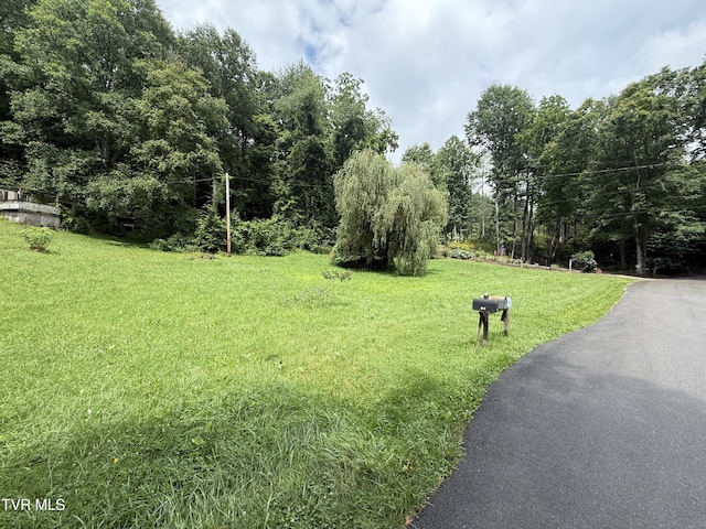 201 Mill Creek Rd, Elizabethton, TN 37643 - photo 11
