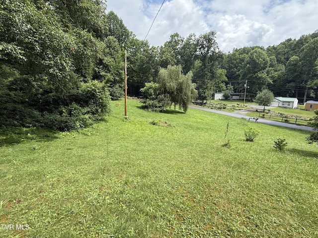201 Mill Creek Rd, Elizabethton, TN 37643 - photo 12