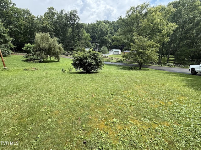 201 Mill Creek Rd, Elizabethton, TN 37643 - photo 13