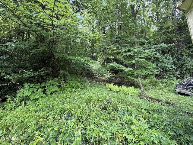 201 Mill Creek Rd, Elizabethton, TN 37643 - photo 14