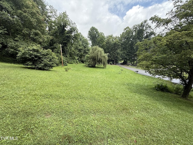 201 Mill Creek Rd, Elizabethton, TN 37643 - photo 18