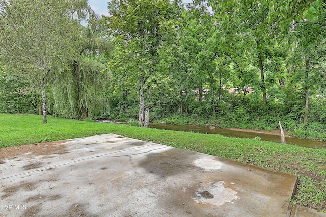 409 Heaton St, Roan Mountain, TN 37687 - photo 36