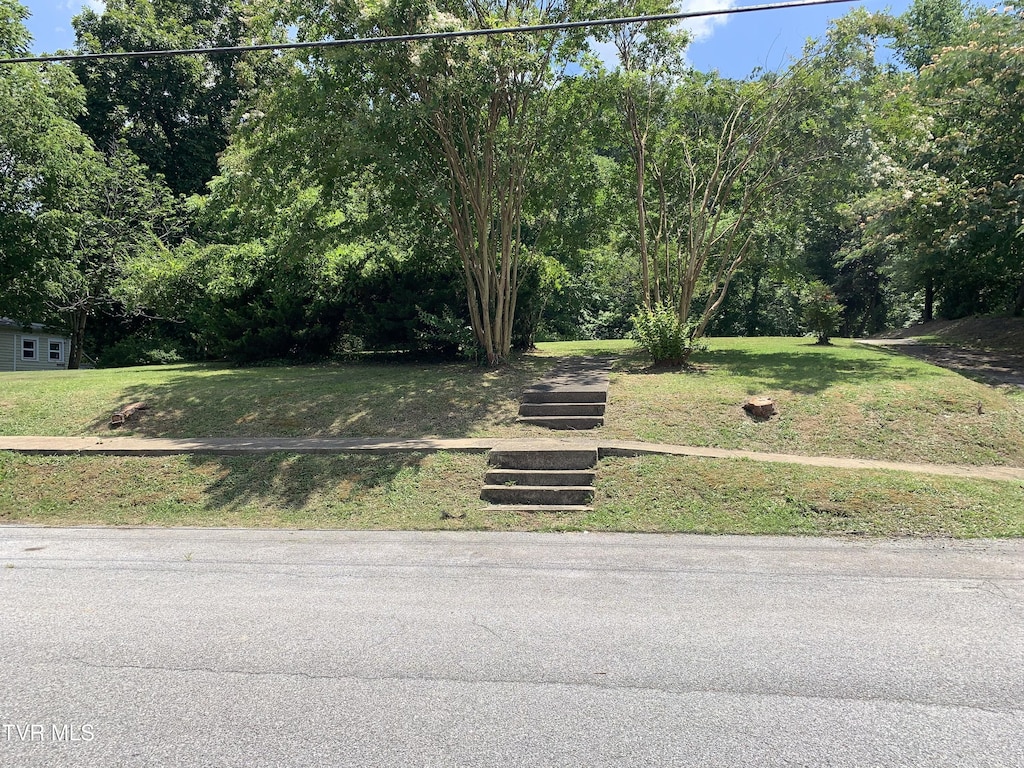 1020 Hill St, Bristol, TN 37620 - photo 1