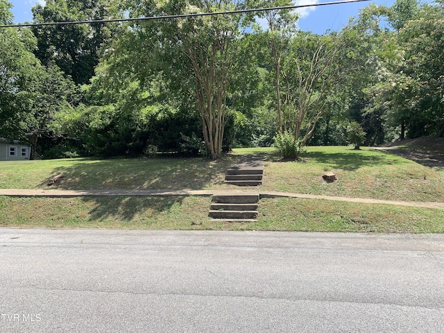 1020 Hill St, Bristol, TN 37620 - photo 1