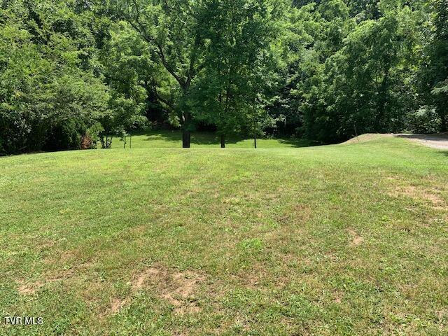 1020 Hill St, Bristol, TN 37620 - photo 2