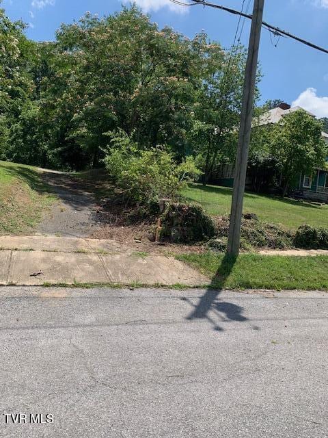 1020 Hill St, Bristol, TN 37620 - photo 3