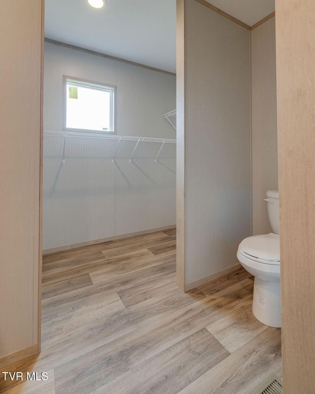 106 Iris Ln, Fall Branch, TN 37656 - bathroom with wood finished floors and a spacious closet
