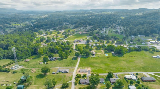 106 Iris Ln, Fall Branch, TN 37656 - view of property location with mountains