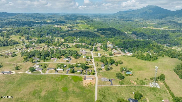106 Iris Ln, Fall Branch, TN 37656 - aerial overview of property's location with a mountain backdrop