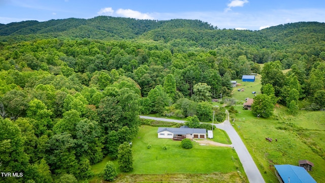 145 Escape Mountain Rd, Hampton, TN 37658 - photo 32