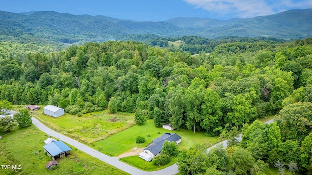 145 Escape Mountain Rd, Hampton, TN 37658 - photo 34