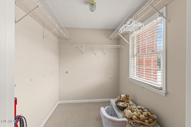 2734 E Oakland Ave Unit D42, Johnson City, TN 37601 - photo 23
