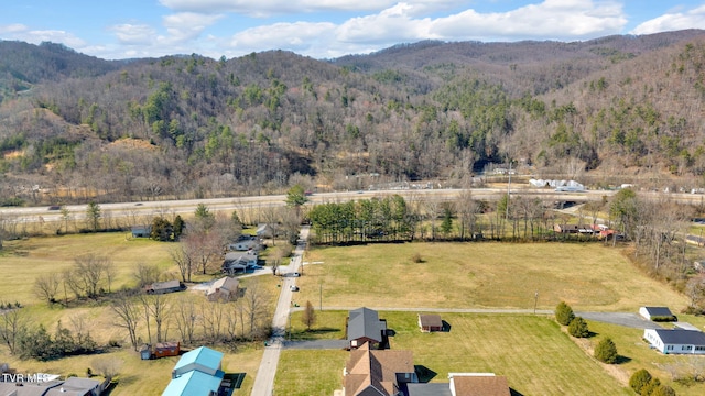 520 Lyle Rd, Erwin, TN 37650 - overview of rural landscape with a mountainous background and a forest