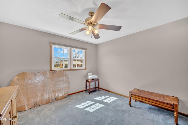 520 Lyle Rd, Erwin, TN 37650 - living area with carpet and ceiling fan