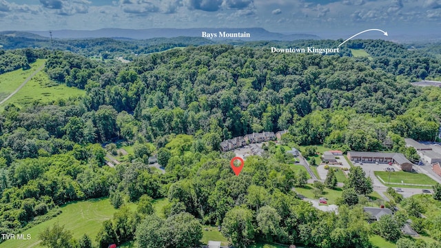 4 Lebanon Rd, Kingsport, TN 37663 - photo 2