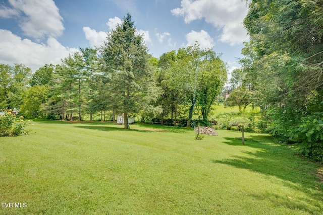 177 Ridgeland Dr, Johnson City, TN 37601 - photo 44