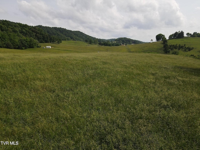 TBD Hales Chapel Rd, Jonesborough, TN 37659