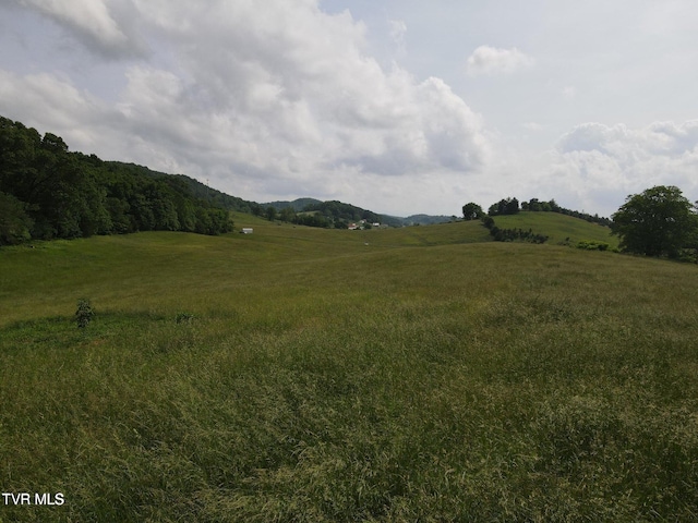 TBD Hales Chapel Rd, Jonesborough, TN 37659
