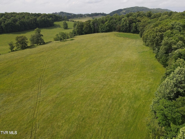 TBD Hales Chapel Rd, Jonesborough, TN 37659