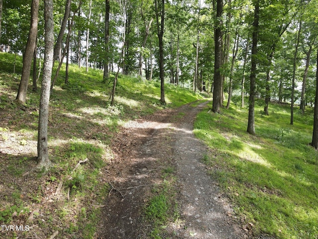TBD Hales Chapel Rd, Jonesborough, TN 37659