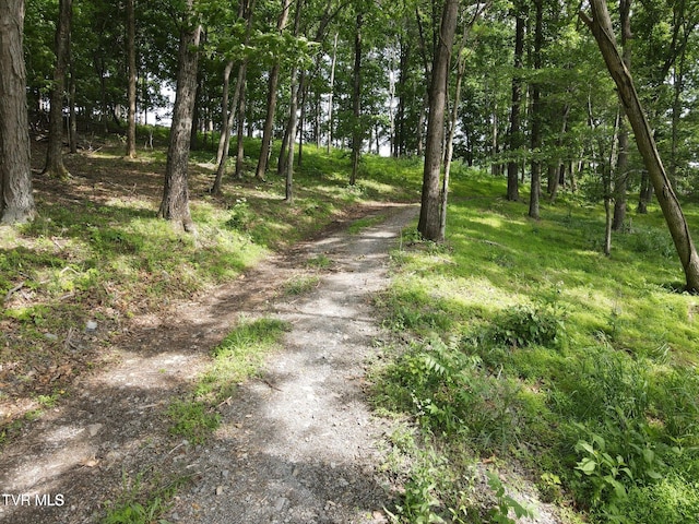 TBD Hales Chapel Rd, Jonesborough, TN 37659