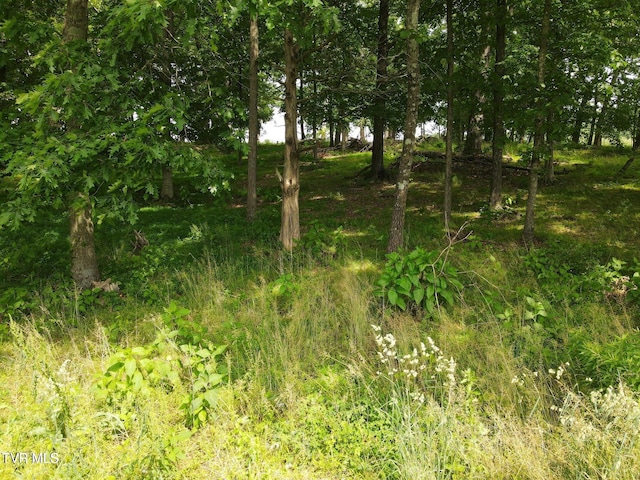 TBD Hales Chapel Rd, Jonesborough, TN 37659