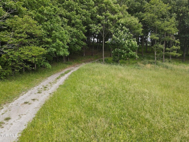 TBD Hales Chapel Rd, Jonesborough, TN 37659