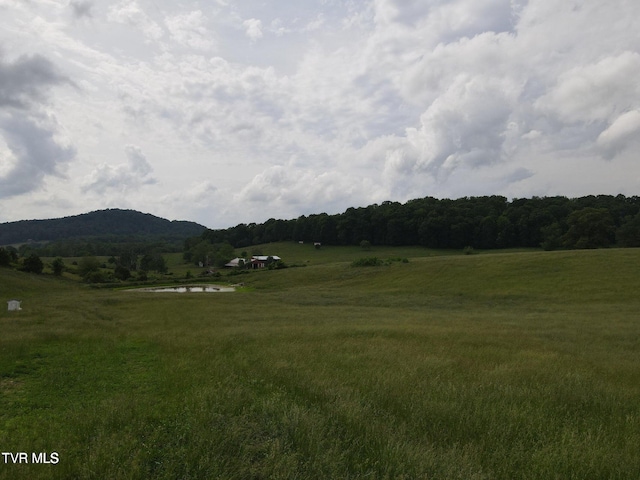 TBD Hales Chapel Rd, Jonesborough, TN 37659