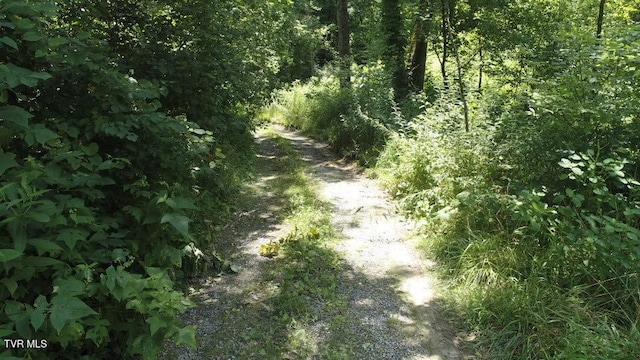 0 Pocahontas Trl, Glade Spring, VA 24340