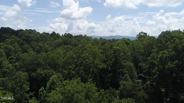 0 Pocahontas Trl, Glade Spring, VA 24340