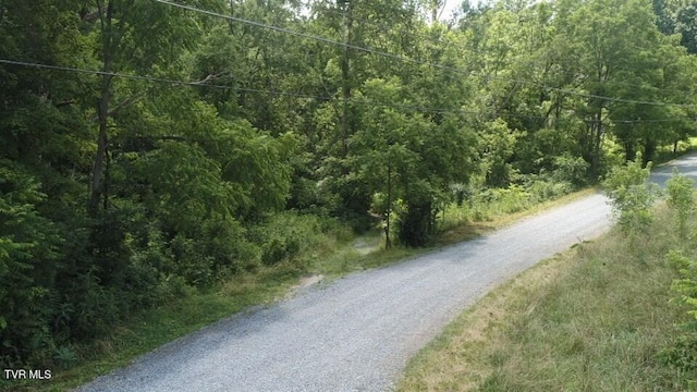 0 Pocahontas Trl, Glade Spring, VA 24340