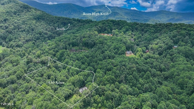 408 Eagle Ridge Rd, Roan Mountain, TN 37687 - photo 2